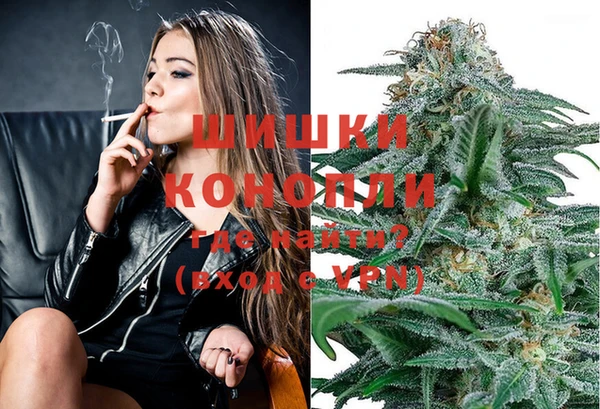 мяу мяу мука Великий Новгород