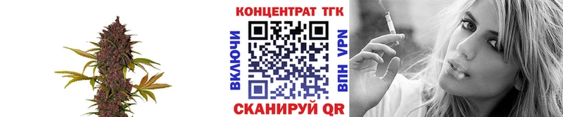 Купить где Лесной ТГК Wax