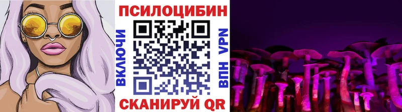 Купить где  Лесной  Галлюциногенные грибы мухоморы 