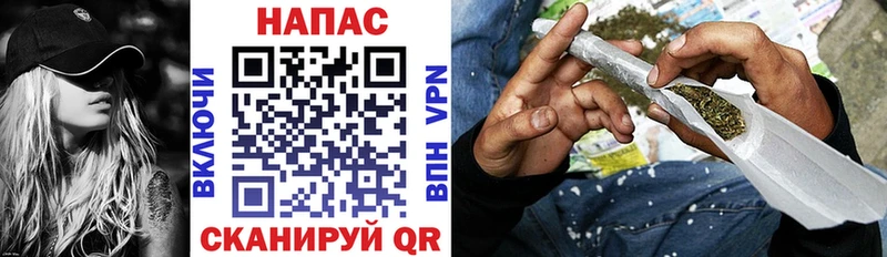 Шишки марихуана AK-47 Лесной